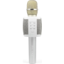 Technaxx BTX44, MusicMan Karaoke Microphone, Grey